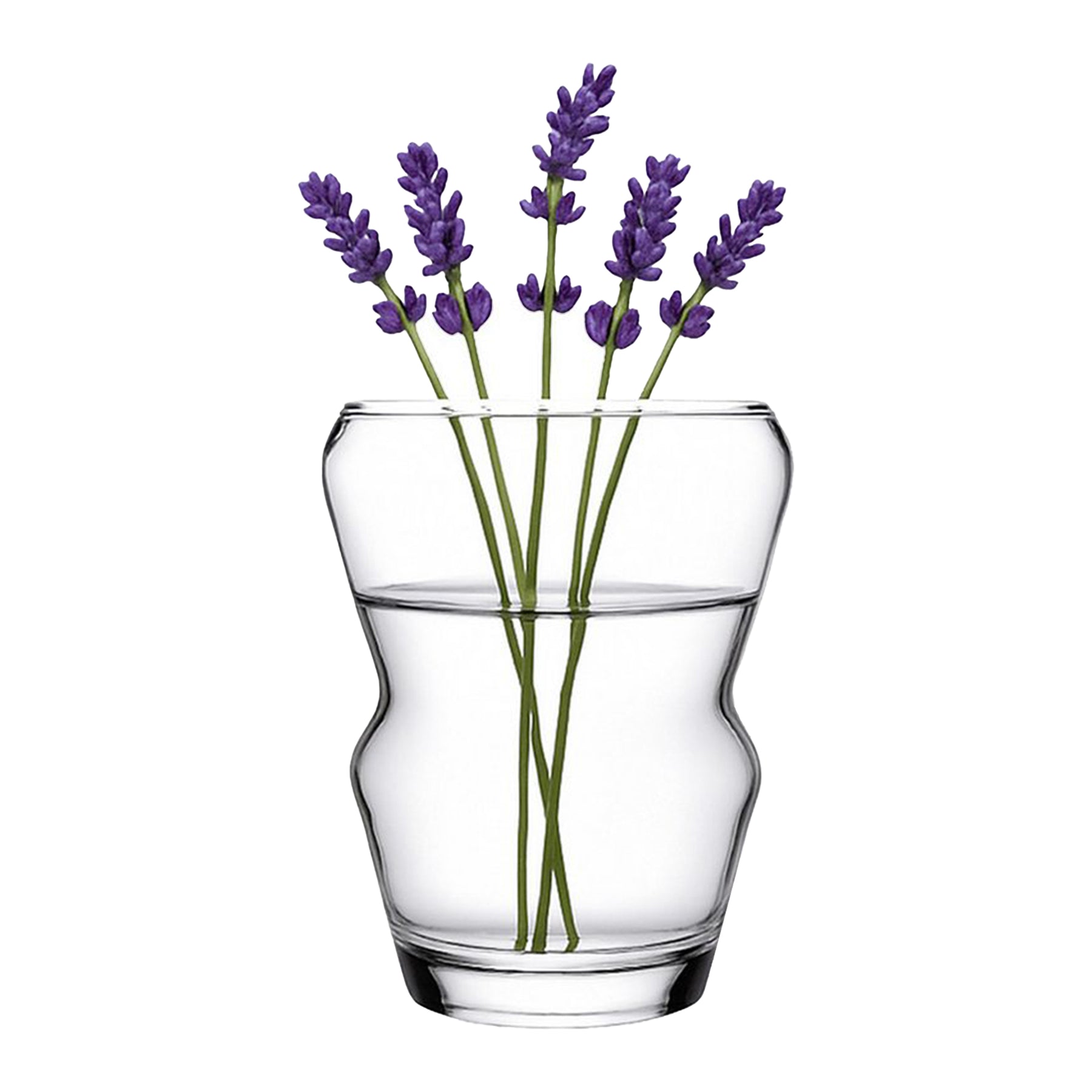 Pasabahce Crystallin PEKO Vase Transparent