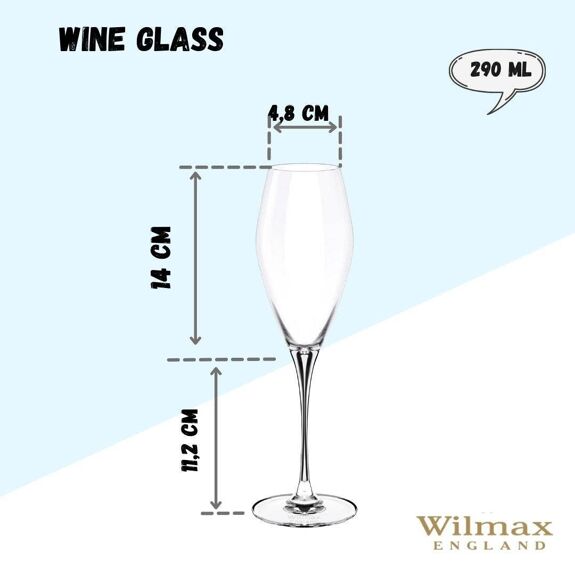 Wilmax Champagnerflöte 290 ml Kristallglas Transparent 2er Set WL-888050/2C