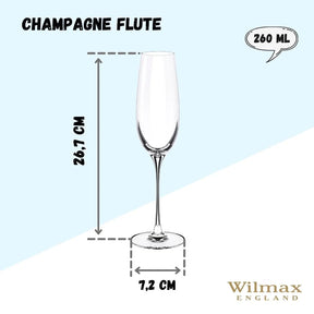 Wilmax Champagnerflöte 260 ml Kristallglas Transparent 2er Set WL-888048/2C