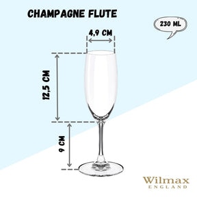 Wilmax Champagnerflöte 230 ml Kristallglas Transparent 6er Set WL-888027/6A