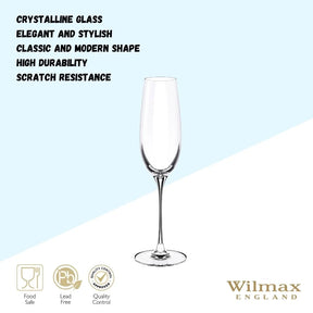 Wilmax Champagnerflöte 260 ml Kristallglas Transparent 2er Set WL-888048/2C