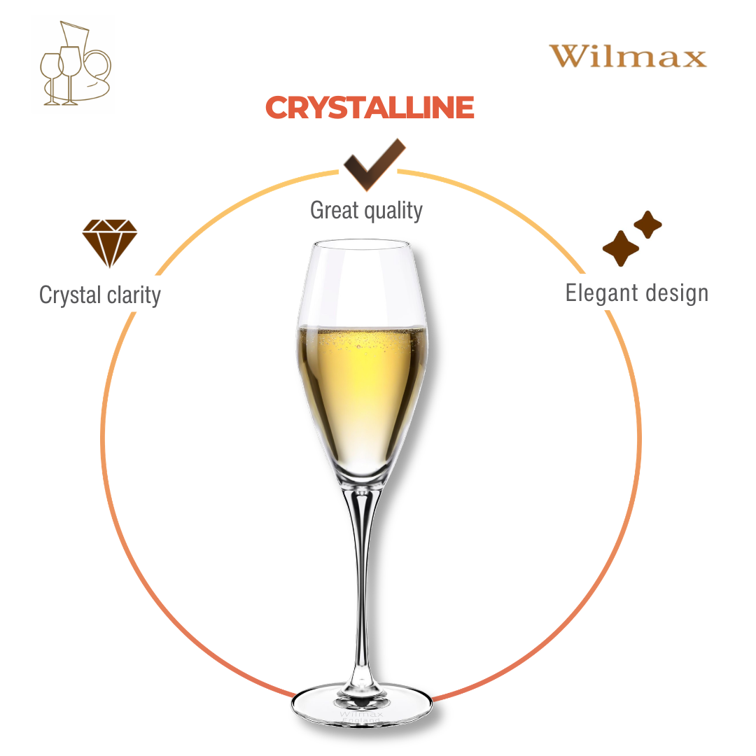 Wilmax Champagnerflöte 290 ml Kristallglas Transparent 2er Set WL-888050/2C