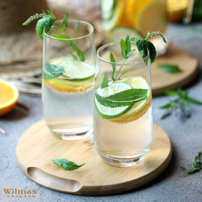 Wilmax Longdrinkglas 500 ml Kristallglas Transparent 2er Set WL-888052/2C