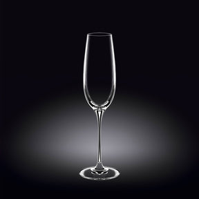 Wilmax Champagnerflöte 260 ml Kristallglas Transparent 2er Set WL-888048/2C