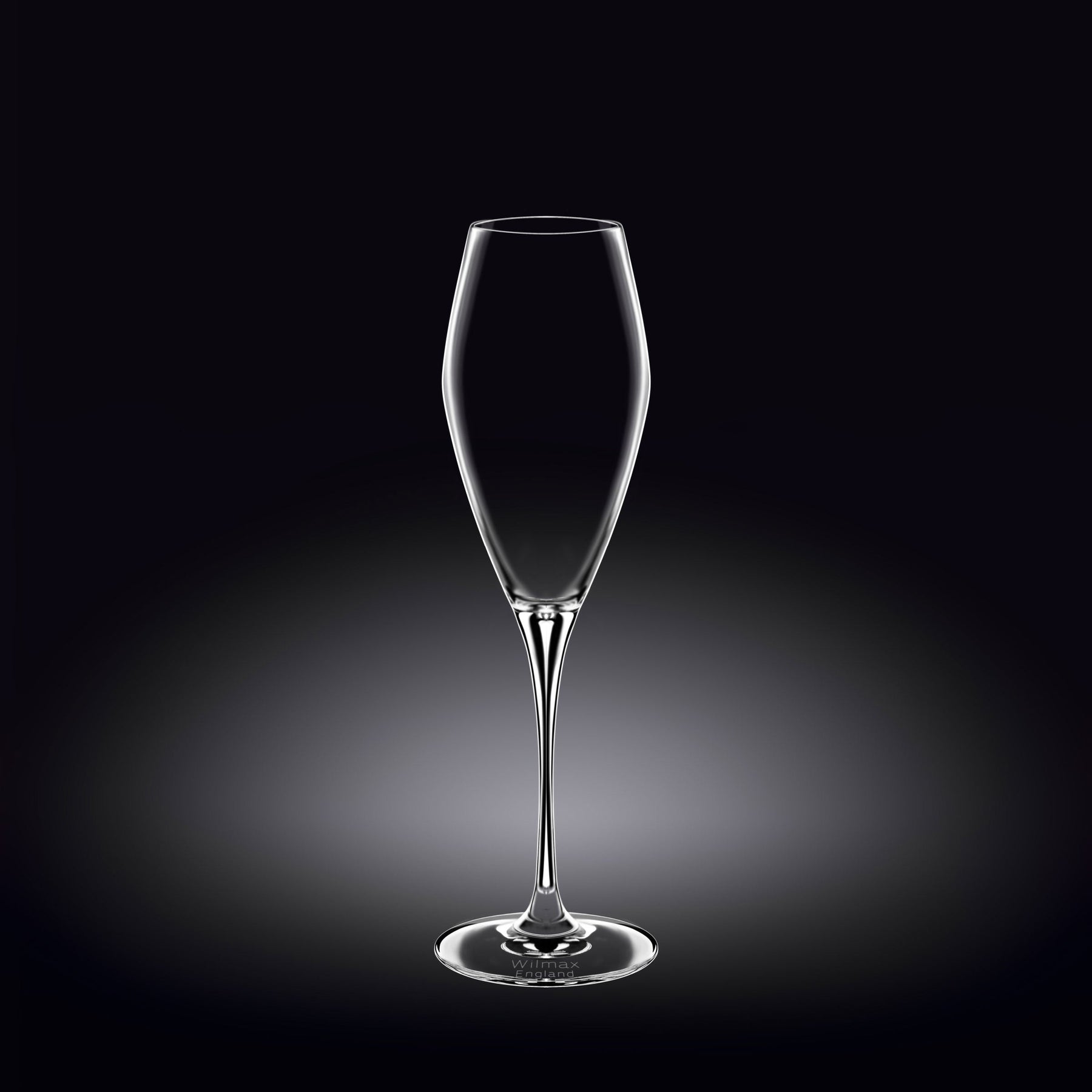 Wilmax Champagnerflöte 290 ml Kristallglas Transparent 2er Set WL-888050/2C