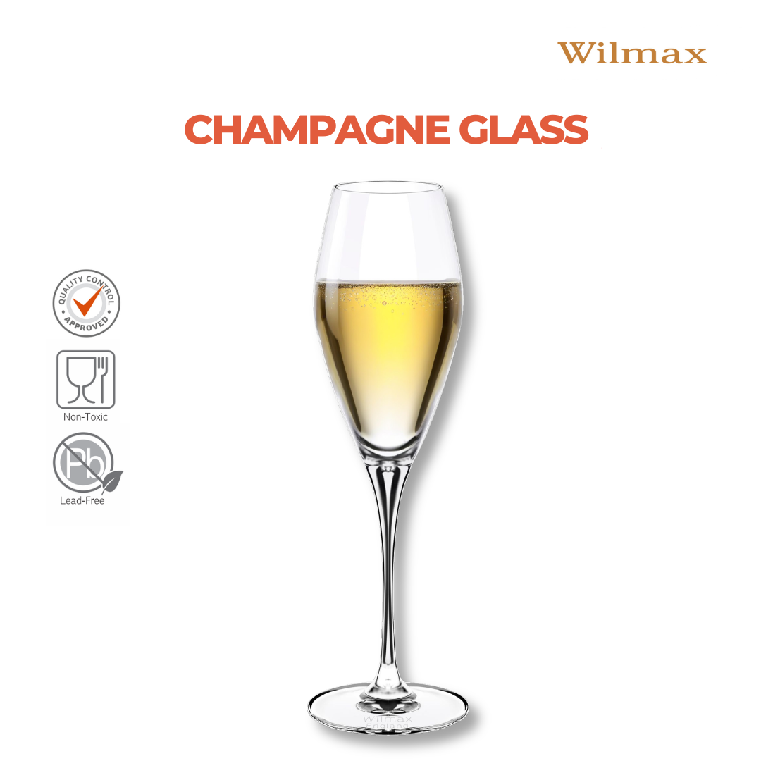 Wilmax Champagnerflöte 290 ml Kristallglas Transparent 2er Set WL-888050/2C