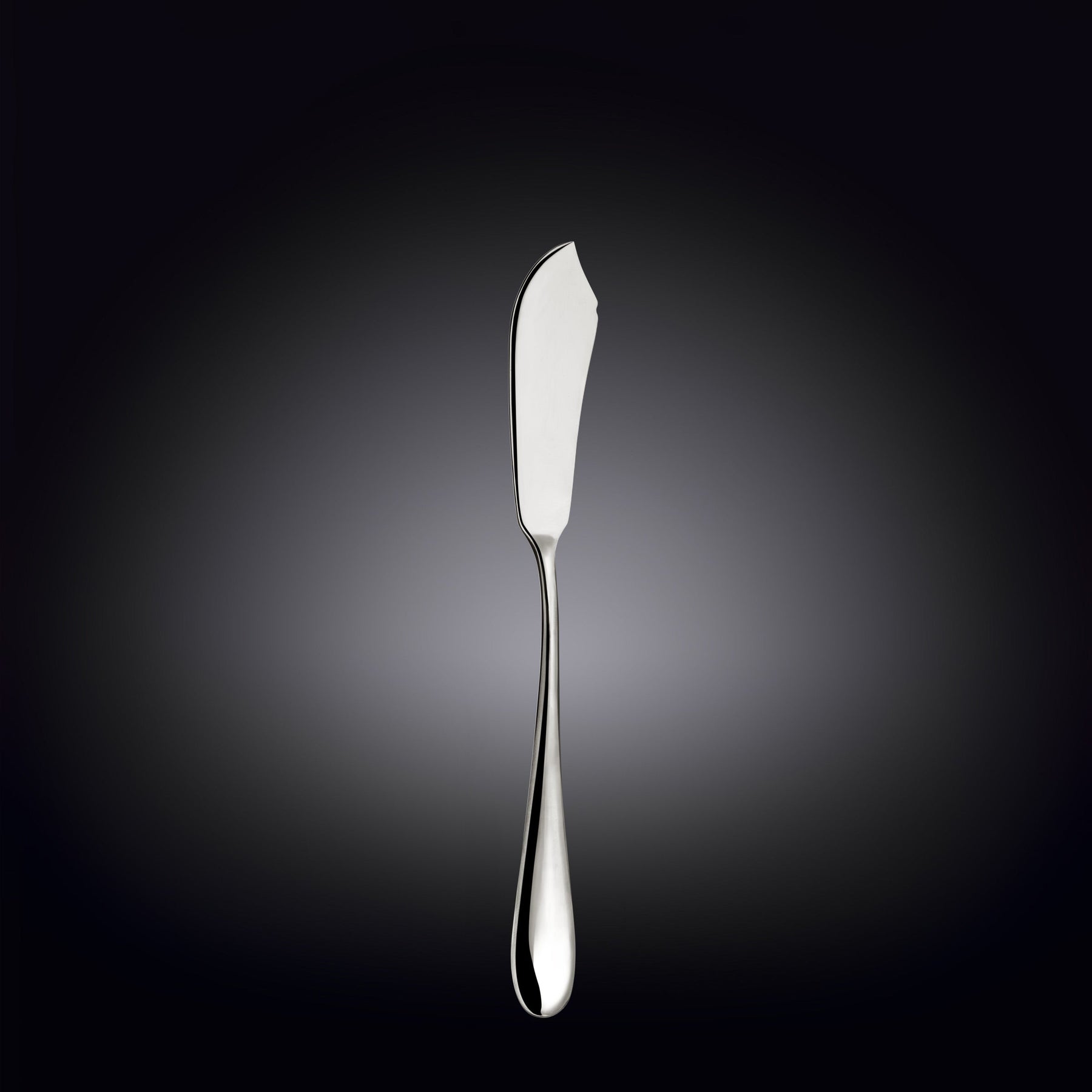Wilmax Fischmesser 2er Set 20,5 cm Edelstahl WL-999109/2B