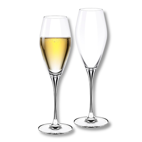 Wilmax Champagnerflöte 290 ml Kristallglas Transparent 2er Set WL-888050/2C