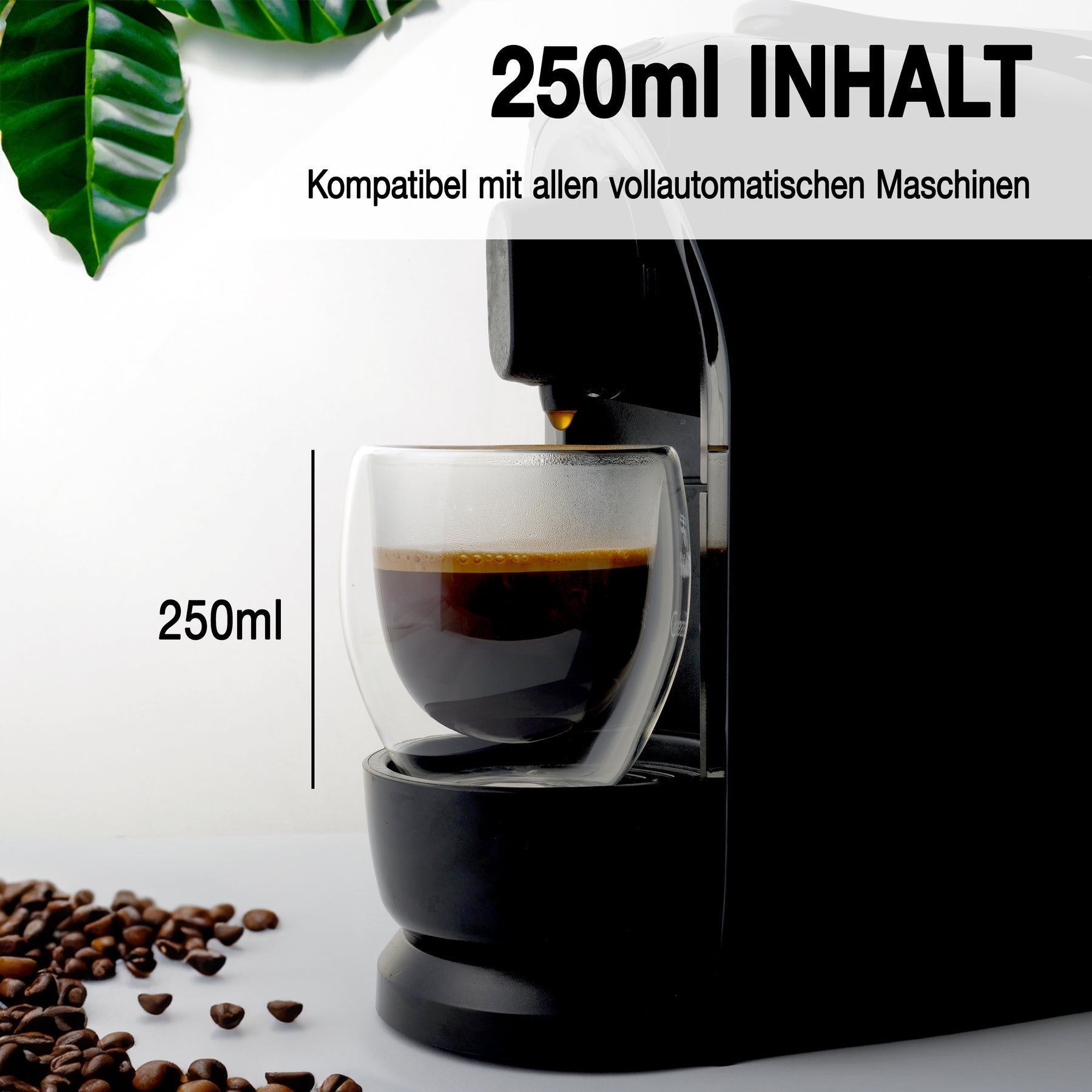 Nordic Schiller Doppelwandige Gläser – 250 ml, 2er Set