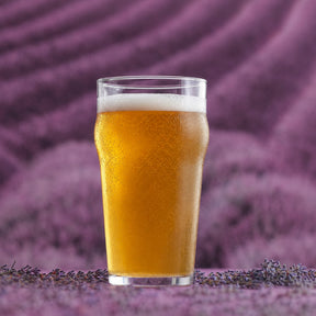 LAV Noniq Biergläser - 570 ml (19 1/4 oz)