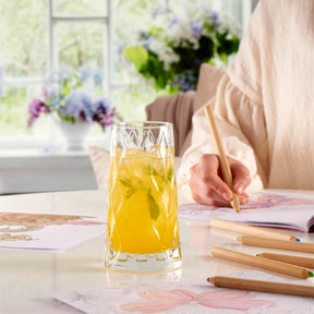 Pasabahce Leafy Longdrinkglas 4er Set transparent arrangiert